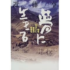 ���ɐ�����\�鋫���X�^���ɉ����̈���