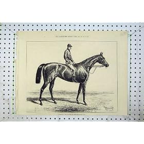 1877 Horse Jockey Hampton Winner Goodwood Cup Sport