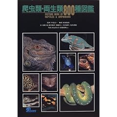 ঒��ށE������800��}��