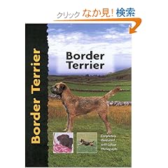 Border Terrier (Pet love)