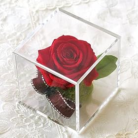 �v���U�[�u�h�t�����[�E���[�YBOX�~�j