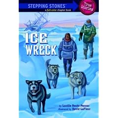 Ice Wreck (A Stepping Stone Book(TM))