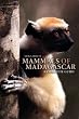 Mammals of Madagascar: A Complete Guide