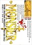 Monster (14) (�r�b�O�R�~�b�N�X)