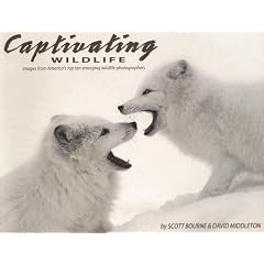 Captivating Wildlife: Images from America's Top Ten Emerging Wildlife Photographers