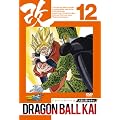 �h���S���{�[���� �l���l�ԁE�Z���� 12 [DVD]