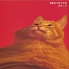 ���O�����Ă��