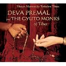 Tibetan Mantras for Turbulent Times