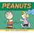 Peanuts: 2009 Day-to-Day Calendar
