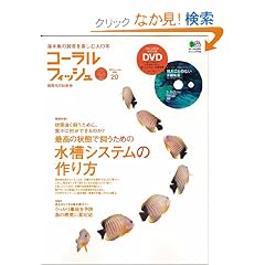 �R�[�����t�B�b�V�� 20 (�G�C���b�N 1749)