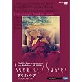 �_���C�E���}:�T�����C�Y/�T���Z�b�g [DVD]