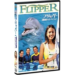 フリッパー シーズン1  セレクション