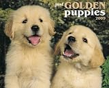 [Book] Just Golden Puppies 2009 Calendar (Just)