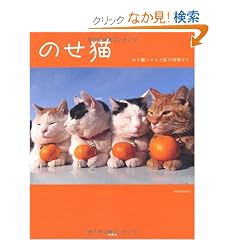 �̂��L~�����L�V����3�C�̒��Ԃ���