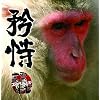 1st Album �u�����v(���傤��)