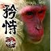 1st Album �u�����v(���傤��)