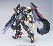 1/100 �K���_���A�X�g���C�S�[���h�t���[�� �A�}�c (�@����m�K���_��SEED DESTINY)