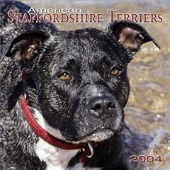 American Staffordshire Terriers 2004 Calendar