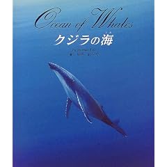 �N�W���̊C