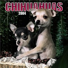 Chihuahuas 2004 Calendar