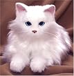 �j���[�~�[ �z���C�g