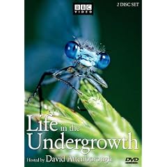 Life in the Undergrowth [DVD] [Import]
