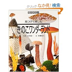 �����Ċy���ނ��̂������_�[�����h (�X�̋x��)