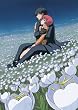 DARKER THAN BLACK -�����̑o�q- 8 [DVD]
