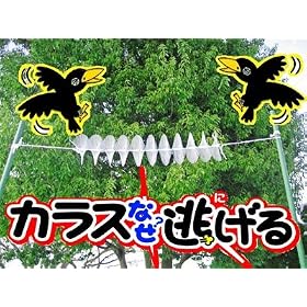 �J���X�Ȃ�������H �W���^�C�v�@�j�r-�O�O�P