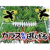 �J���X�Ȃ�������H �W���^�C�v�@�j�r-�O�O�P