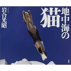 �n���C�̔L