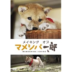 ���C�L���O�I�u �u�}���V�o��Y�v �yDVD�z