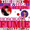 THE BEST HIT & HEAL + CLIPS~HOSOKAWA FUMIE BEST COLLECTION~(DVD�t)