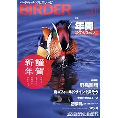 BIRDER (�o�[�_�[) 2009�N 01���� [�G��]