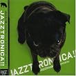 JAZZTRONICA!!