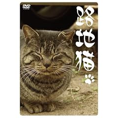 �H�n�L [DVD]