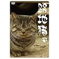 �H�n�L [DVD]