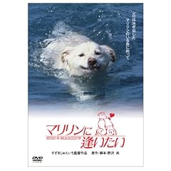 �}�������Ɉ������� [DVD]