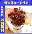 H-1�@�J�[�l�[�V�����@�ԁ@�T�����@�i��̓��J�[�h�E��ĕ��̂�����t���j �ሤ�m����