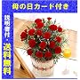 H-1�@�J�[�l�[�V�����@�ԁ@�T�����@�i��̓��J�[�h�E��ĕ��̂�����t���j �ሤ�m���� ��̓����� ���m���Y �J�[�l�[�V����