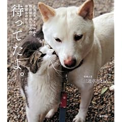 �k�C�����i�i�����Ɩ�ǔL�q�������̑������̂����� �҂��Ă���B