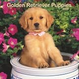 [Book] Golden Retriever Puppies 2009 Calendar