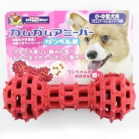 �J���K���A�~�[�o�[ �_���x�� M