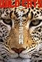 �쐶�l�R�̕S�� �ŐV�� (�����S��)