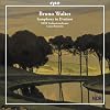 �u���[�m�E�����^�[:������ �j�Z�� (Walter: Symphony in D minor)