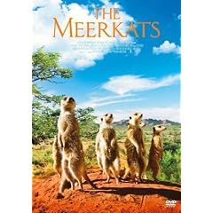 �~�[�A�L���b�g �X�y�V�����E�G�f�B�V���� [DVD]