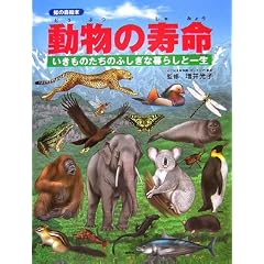 �����̎����\�������̂����̂ӂ����ȕ�炵�ƈꐶ (�m�̐X�G�{)