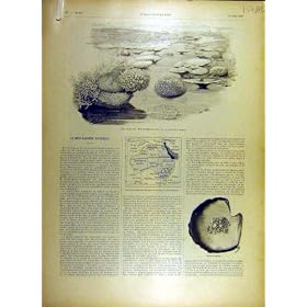 1895 �̎X���Ǐʂ̐^��̃I�[�X�g�����A�̒n�}�̈����