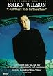 I Just Wasn't Made for These Times [DVD] [Import]