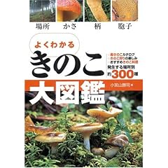 �悭�킩�邫�̂���}�Ӂ\�ꏊ ���� �� �E�q